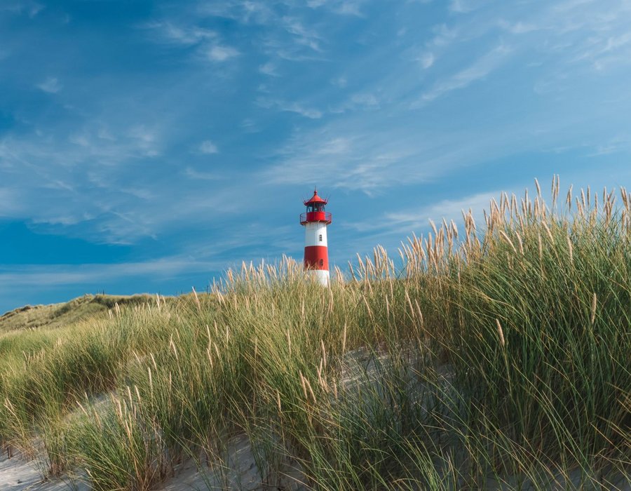 21. SommerSpecial Vergaberecht